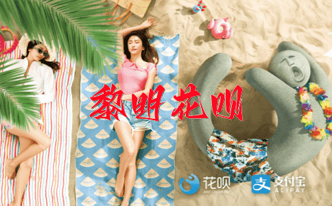 奇形怪状花呗